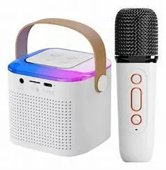 WIRELESS KARAOKE SPEAKERS