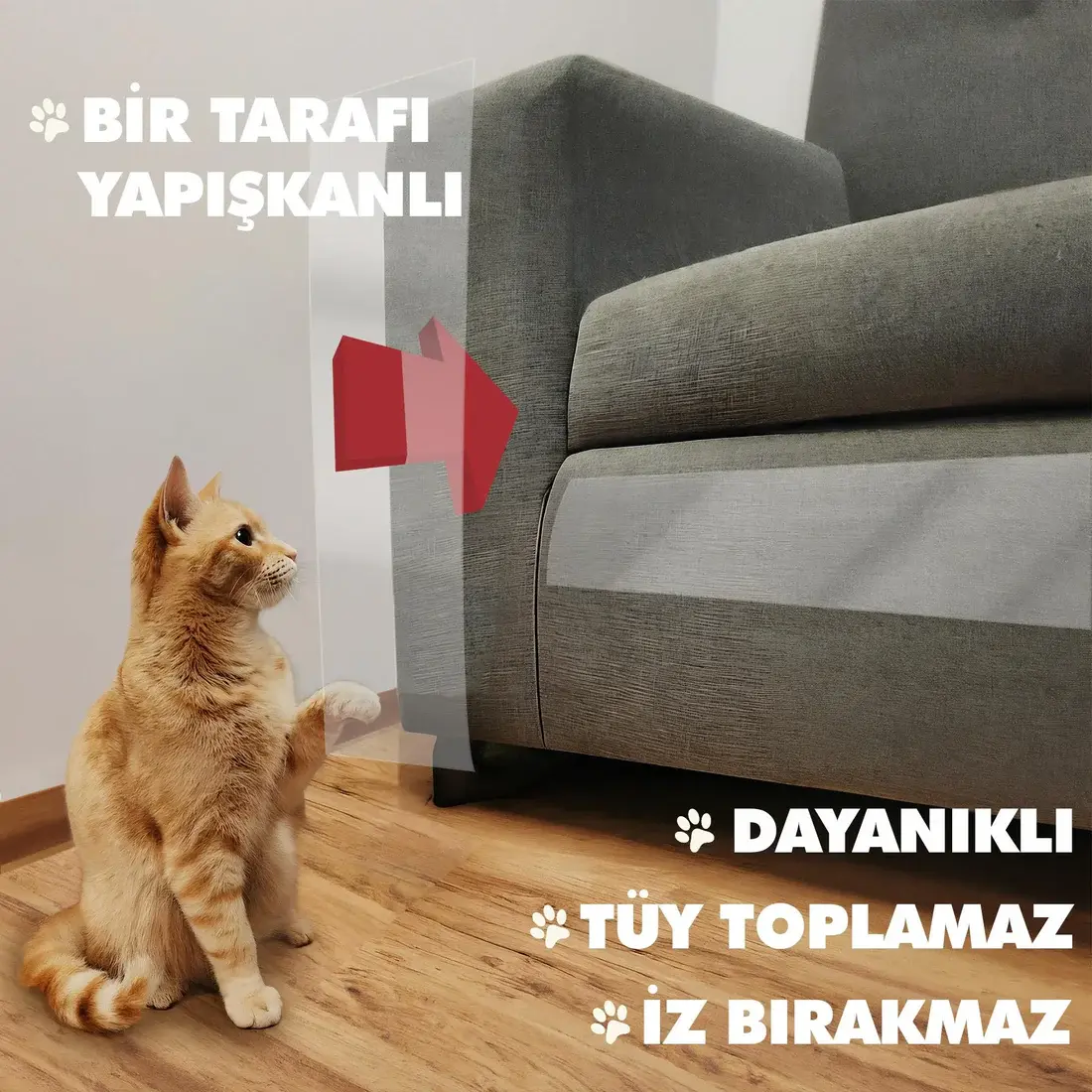 Film protecteur de meuble adhésif contre les rayures par la patte du chat 10cmx10m transparent