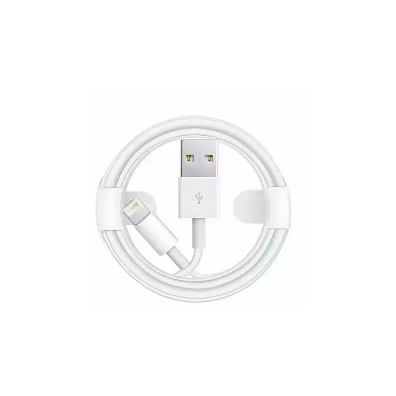 Câble Lightning vers USB pour iPhone, iPad, AirPods - 1m